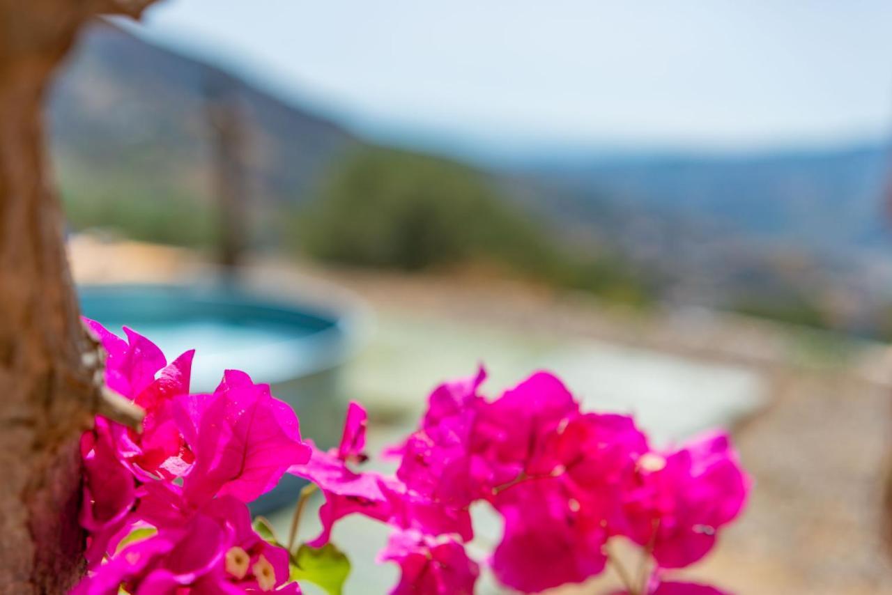 Casa Nathium. Βίλα Borge Εξωτερικό φωτογραφία
